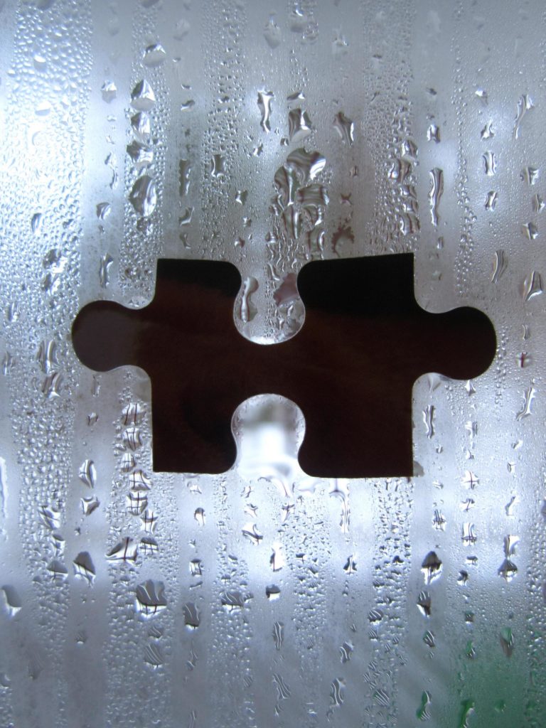 the jigsaw puzzle