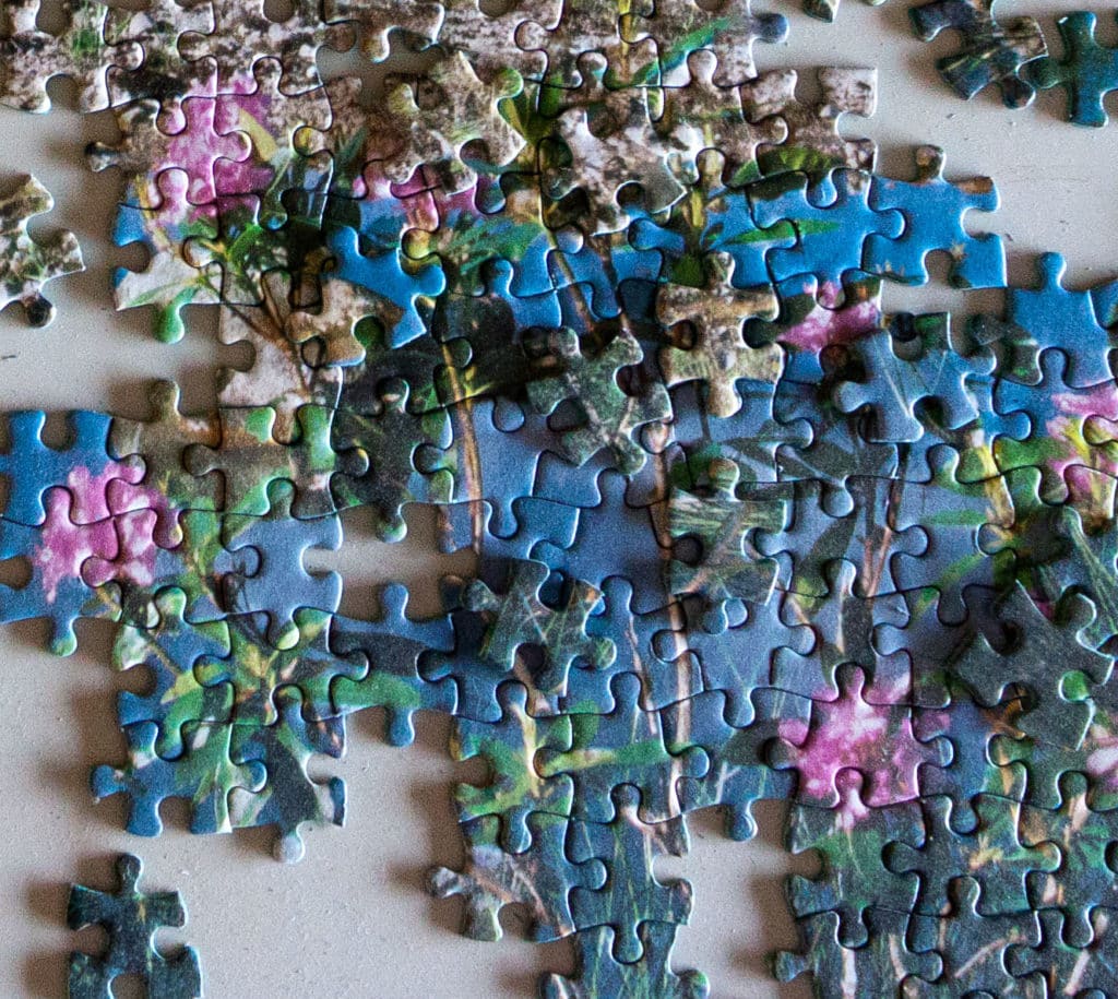 daily jigsaw washinton