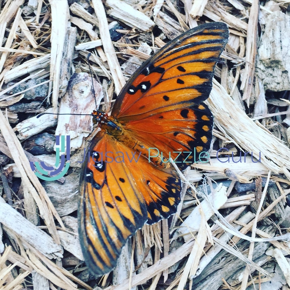 Butterfly Jigsaw Puzzle